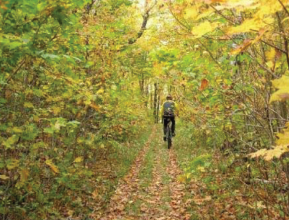 Fall foliage at the Kingdom Bike Trails in Vermont's Northeast Kingdom