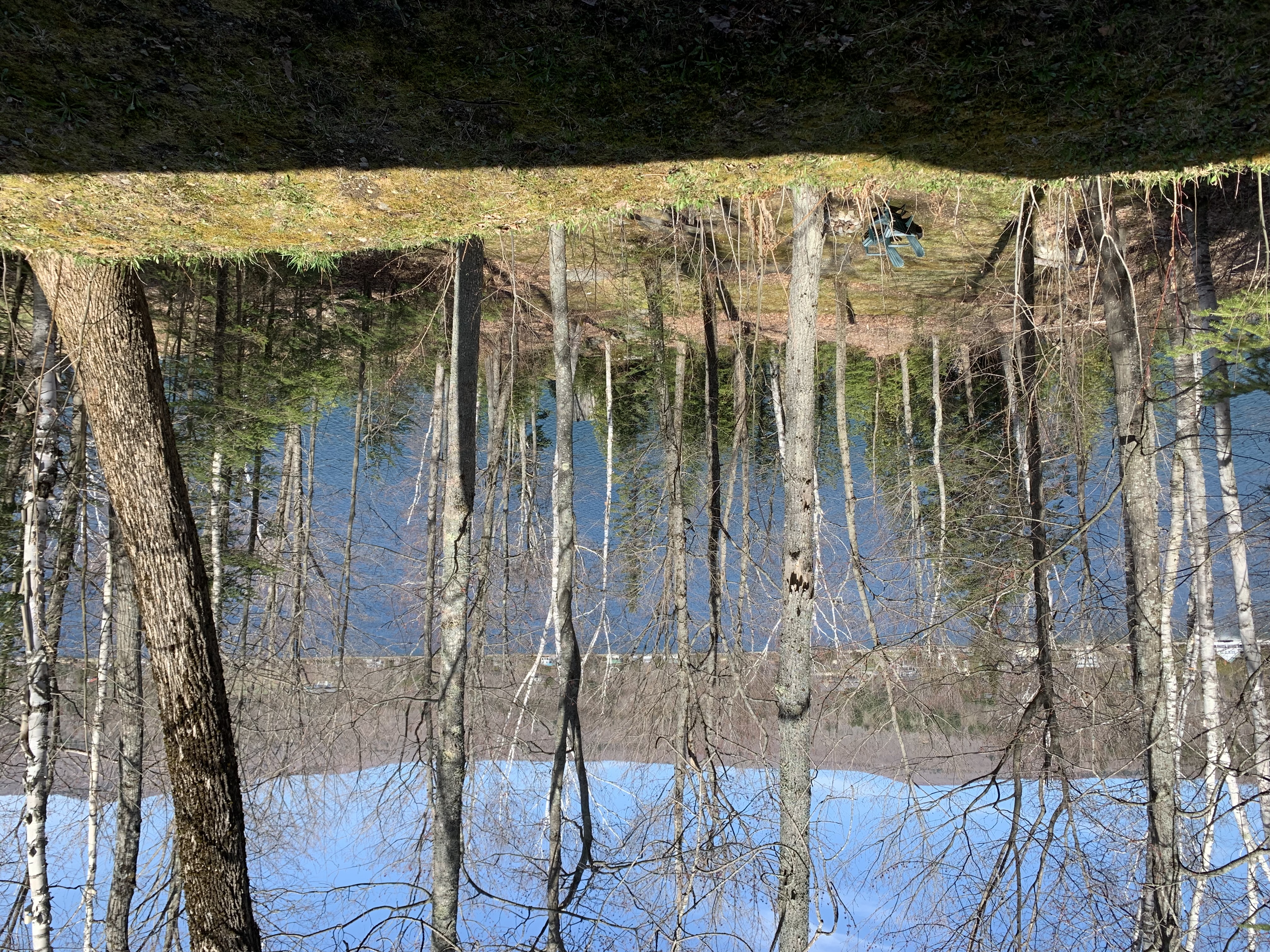 Enjoy this great lake by the water's edge surrounded by forest.