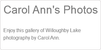 Carol Ann's Photos Enjoy this gallery of Willoughby Lake photography by Carol Ann.